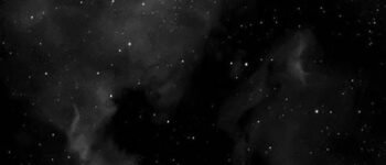 The Symphony of Stars and Shadows: Interweaving the Night Sky with Zoo Life