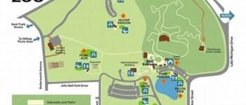 The Zoo That Never Sleeps: John Ball Park Zoo’s Nighttime Adventure