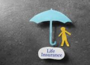 Life Insurance Means What
