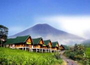 Keindahan Kota Pagaralam Terbaru: Menjelajahi Berbagai Macam Destinasi Wisata