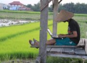 Peluang dan Kiat Sukses Investasi di Pedesaan