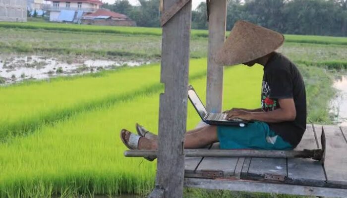 Peluang dan Kiat Sukses Investasi di Pedesaan