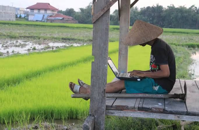Peluang dan Kiat Sukses Investasi di Pedesaan