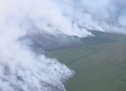 Kebakaran Hutan dan Lahan Meluas, KLH Segel Empat Perusahaan dan Tutup Satu Pabrik Sawit di Riau