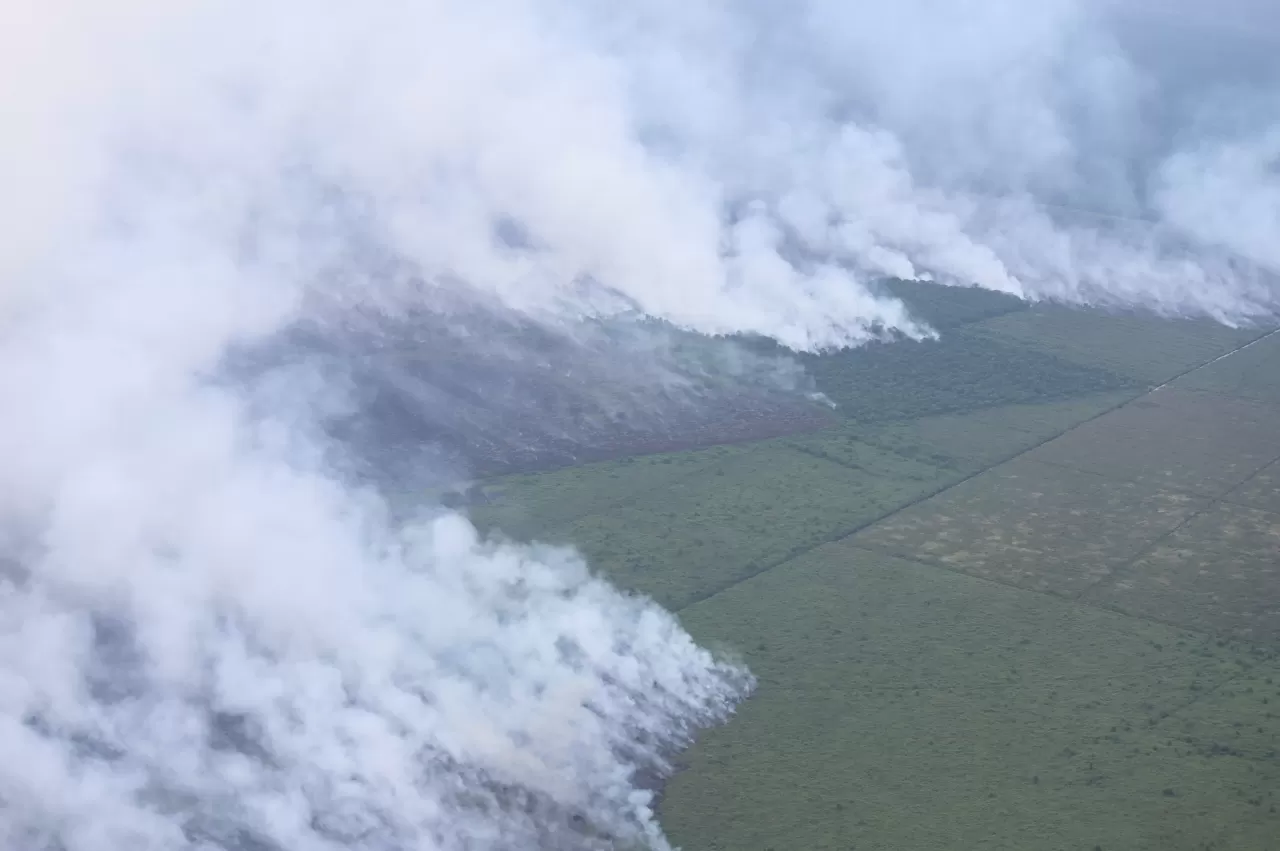 Kebakaran Hutan dan Lahan Meluas, KLH Segel Empat Perusahaan dan Tutup Satu Pabrik Sawit di Riau