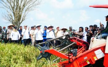 Ingin Swasembada Pangan, Gubernur Herman Deru Tegaskan Kedisiplinan Kunci Sukses Petani Sumsel