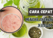 Cara Ampuh Terbaru Menghilangkan Jerawat Secara Alami