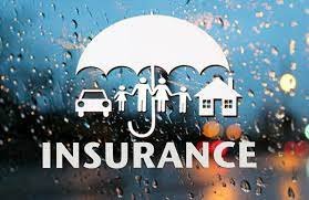 Indonesia Insurance Ranking