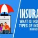 Insurance Meaning And Types In Hindi