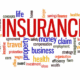 Insurance Vertical Meaning