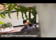 Viral! Link Video Pasangan Remaja Melakukan Hal BedecroO0t di Dekat Rumah Dinas Bupati Sragen
