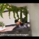 Viral! Link Video Pasangan Remaja Melakukan Hal BedecroO0t di Dekat Rumah Dinas Bupati Sragen