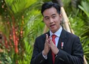 Segera Tugaskan Gibran ke Papua Ketimbang Plonga Plongo