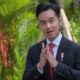Segera Tugaskan Gibran ke Papua Ketimbang Plonga Plongo