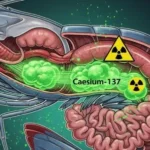 Apa sich Caesium-137, Zat Radioaktif yang Ditemukan di Udang Beku Indonesia?
