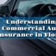Car Insurance Florida