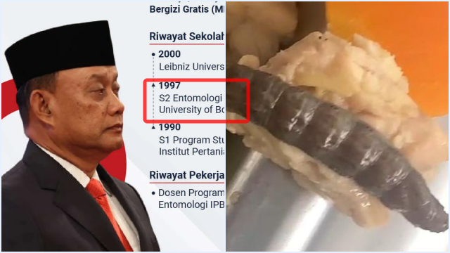 Ribuan Siswa Keracunan MBG, Kepala Badan Gizi Nasional Ternyata Ahli Serangga Bukan Ahli Gizi