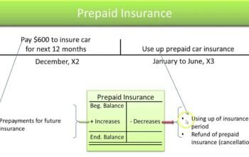 Prepaid Insurance