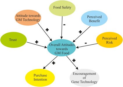 Technology Acceptance Model Survey Questions