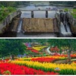 Destinasi Pariwisata Terbaru di Kabupaten Musi Rawas Utara