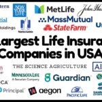 Insurance Company Is Usa