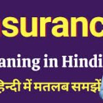 Insurance Premium Meaning In Hindi