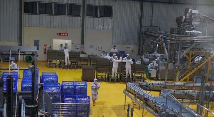 Pakan Hewan Produksi Sumsel Resmi Diekspor ke Filipina