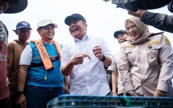Gubernur Herman Deru Tinjau Penguatan Infrastruktur Listrik PLN di Kawasan Tambak Udang OKI