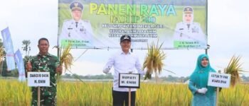 Bupati Muara Enim Perkuat Ketahanan Pangan Lewat Panen Raya Padi