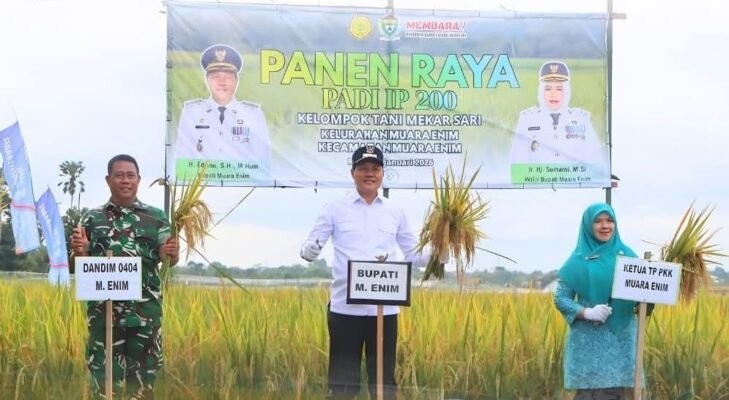 Bupati Muara Enim Perkuat Ketahanan Pangan Lewat Panen Raya Padi