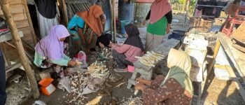 Dari Singkong Jadi Mocaf, Warga Simpang Bayat Bangun Kemandirian Ekonomi di Bulan Ramadan