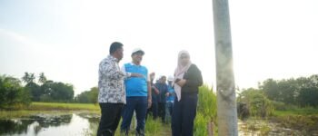 Pemerataan Listrik Jadi Prioritas, DPR RI dan Pemkab OKI Tinjau Proyek Strategis Desa Pedamaran IV