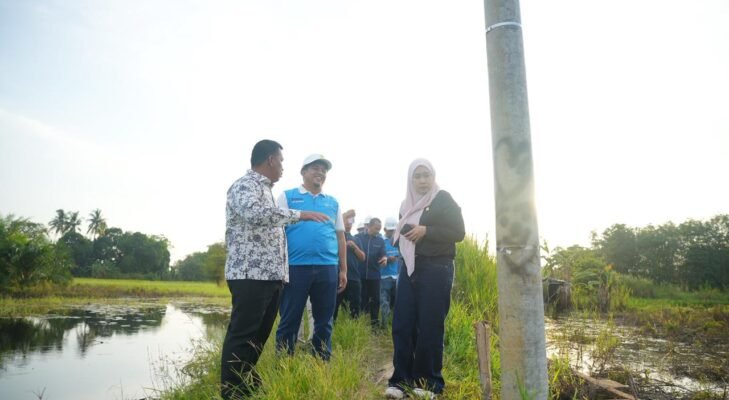 Pemerataan Listrik Jadi Prioritas, DPR RI dan Pemkab OKI Tinjau Proyek Strategis Desa Pedamaran IV