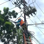 PLN Terapkan Strategi Berbasis Risiko, Jaring Pengaman Satwa Dipasang Demi Jaga Stabilitas Listrik