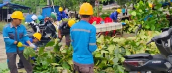 Kolaborasi PLN dan Pemerintah Daerah Dorong Kota Bangko Lebih Bersih, Nyaman, dan Andal dari Sisi Kelistrikan