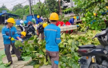 Kolaborasi PLN dan Pemerintah Daerah Dorong Kota Bangko Lebih Bersih, Nyaman, dan Andal dari Sisi Kelistrikan