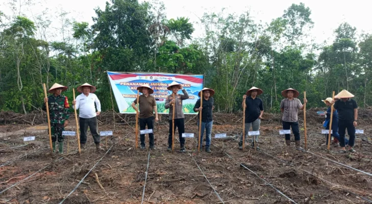Kolaborasi Lintas Sektor di Muba, Polsek Lais Inisiasi Penanaman Jagung Kuartal II untuk Ketahanan Pangan
