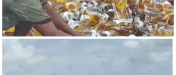 Gelombang Tinggi Hantam Dua Kapal Bantuan Pangan di Kaimana, Bulog Janjikan Pengganti bagi Warga yang Membantu Evakuasi