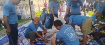 Idul Adha 1447 H, Warga Kemang Agung Palembang Gotong Royong Laksanakan Penyembelihan 5 Ekor Sapi dan 6 Kambing