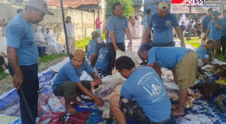 Idul Adha 1447 H, Warga Kemang Agung Palembang Gotong Royong Laksanakan Penyembelihan 5 Ekor Sapi dan 6 Kambing