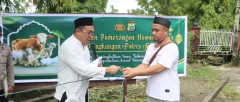 Polres Fakfak Salurkan Daging dari 12 Hewan Kurban kepada Masyarakat Sekitar, Idul Adha Jadi Ajang Mempererat Silaturahmi