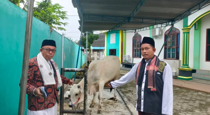 Wali Kota Lubuklinggau H Rachmat Hidayat Sumbangkan Sapi Kurban Jumbo untuk Masjid Anniyaturrohimin, Jamaah Beri Apresiasi