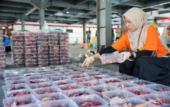 PLN UID S2JB Perkuat Nilai Kemanusiaan Lewat Penyembelihan 8 Ekor Sapi dan 9 Kambing pada Idul Adha 1447 H