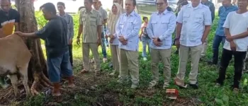 Bersama Kader dan Masyarakat, Ketua DPC Gerindra OKI Nanda.SH Gelar Pemotongan Hewan Qurban Penuh Khidmat