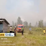Kebakaran Hutan dan Lahan di Bomberay Berhasil Dikendalikan, Tim Gabungan Bergerak Cepat Cegah Api Meluas ke Permukiman