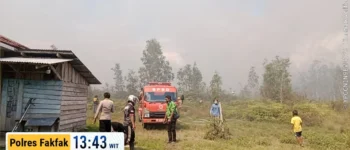 Kebakaran Hutan dan Lahan di Bomberay Berhasil Dikendalikan, Tim Gabungan Bergerak Cepat Cegah Api Meluas ke Permukiman