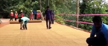 Sabut Kelapa Disulap Jadi Fondasi Jalan Raya, Kok Bisa? 
