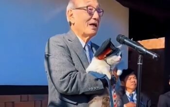 Nyaris Ditutup karena Sepi, Stasiun Ini Justru Diselamatkan Seekor Kucing