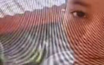 Mahasiswi Wawancara UKT di Atas Pohon Demi Sinyal, Kisah Ninik Agung Viral di Medsos