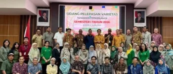 Kementerian Pertanian Percepat Pengembangan Benih Unggul, Enam Varietas Baru Diharapkan Tingkatkan Produktivitas Nasional